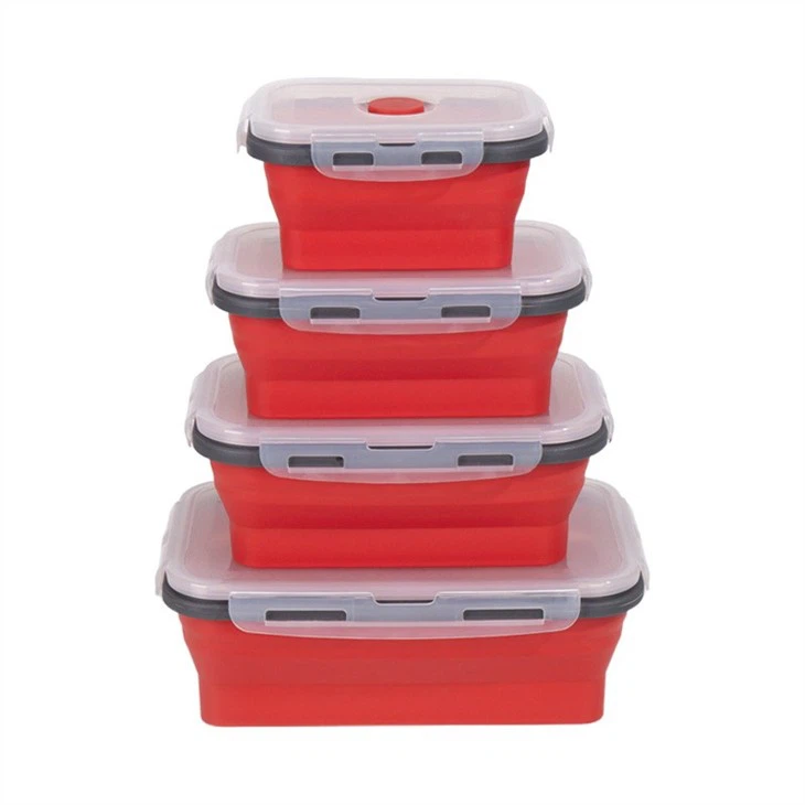 Platinum Silicone Foldable Lunch Box Set